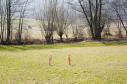 Eine Wiese in Vaihingen vor den Arbeiten